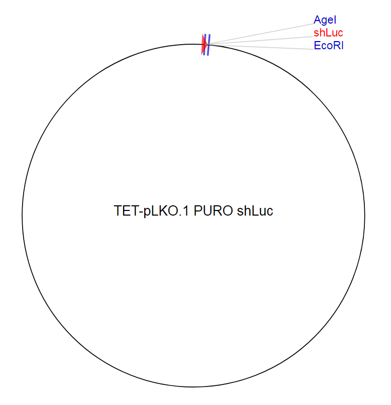 TET-pLKO.1 PURO shLuc质粒图谱